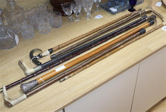 Six horn handled walking sticks and a silver topped walking stick